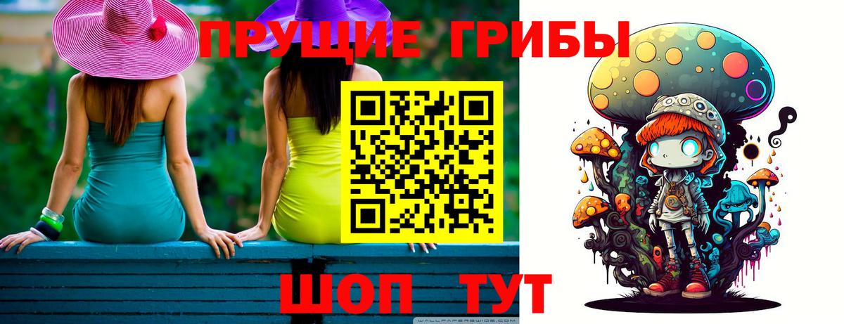 Псилоцибиновые грибы мицелий Екатеринбург