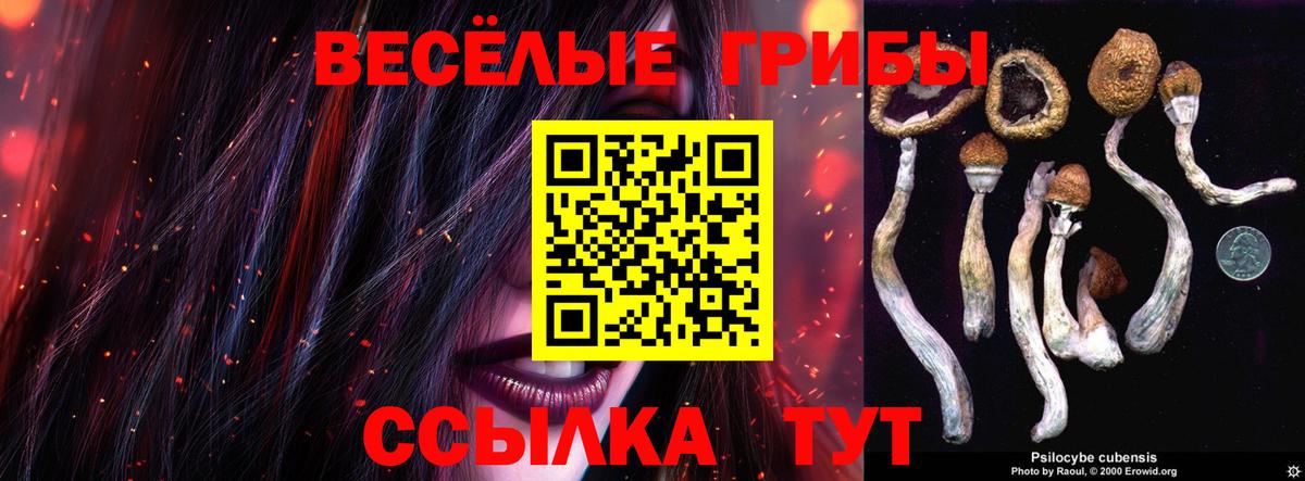 магазин    Псилоцибиновые грибы Psilocybine cubensis  Вход с VPN  Екатеринбург  Галлюциногенные грибы прущие грибы 